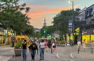 Avenue-du-Mount-Royal Tom Damoth © 2025 I’ve heard it said Montreal is very European, and it’s true. In my travels I’ve visited Indianna, Tennessee, Florida, North Carolina, Wisconsin, Virginia, Oregon, Texas, Michigan, Germany, Greece, Albania, and Croatia. All these places are amazing, but my favorite so far is Montréal:)