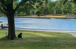 Rowing-on-Beaver-Lake Tom Damoth © 2025 It is hard to imagine a lake nearly 600 feet above the city. But atop Mont Royal sits Beaver Lake. Yet another great place for picnics, reading, and exploring.