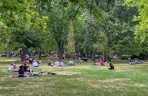 Sir-Wilfrid-Laurier-Park Tom Damoth © 2025 On Saturday I returned to Sir Wilfrid Laurier Park. Next to a walkway, I stopped and listened to musicians playing Québécois music. Their ensemble of a cello, accordion, cajón, and fiddle was new to my ears. Some tunes were lively; others had me dreaming of the sea.
In the rest of the park, families and friends were talking, eating, and enjoying a bottle of wine. There were people from every corner of the globe enjoying themselves, getting along, living a good life.