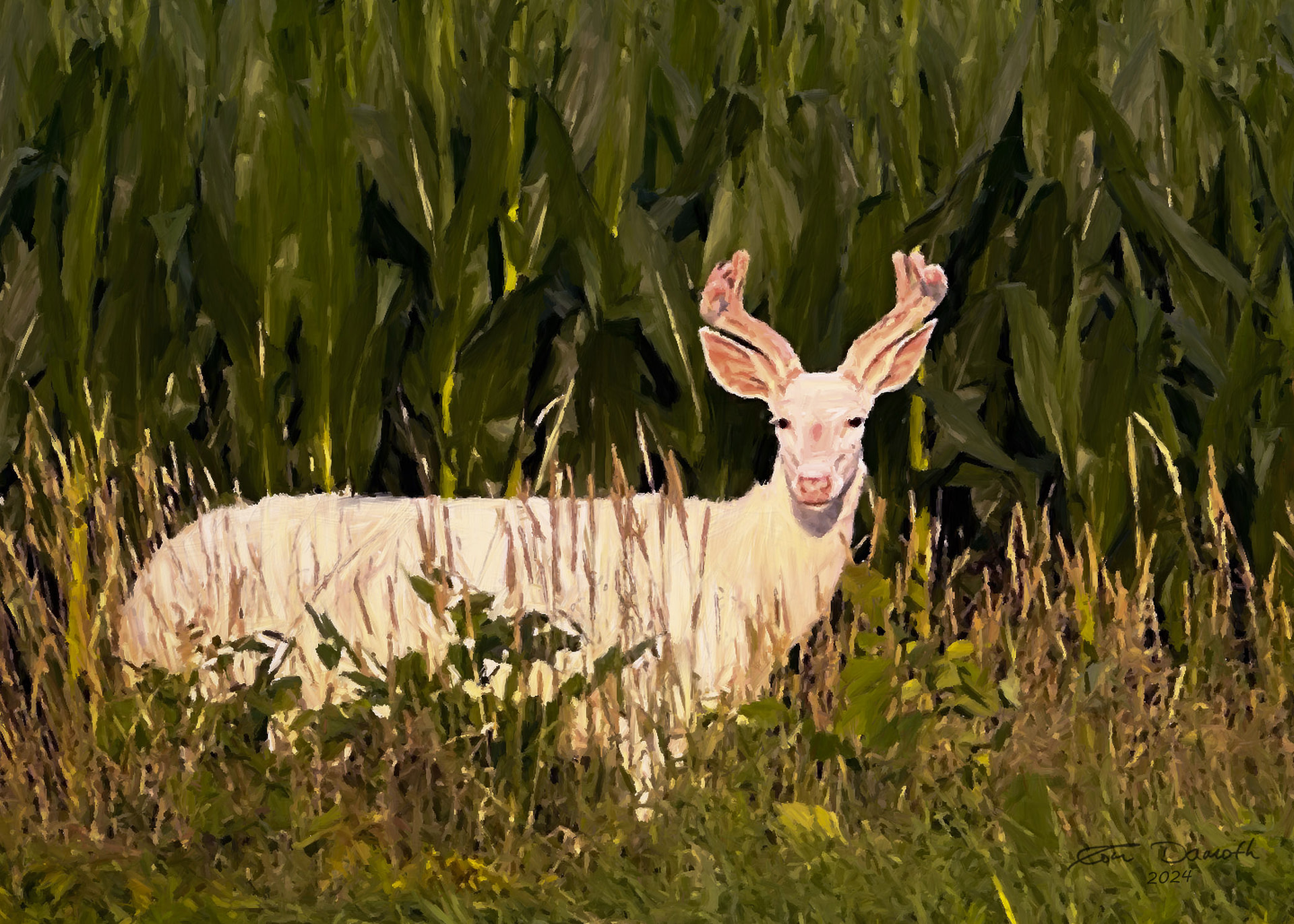 Wisconsin White Stag 2024