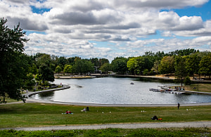 I remember the first time my dad took me out in a rowboat. He could make the boat go exactly where he wanted with just a slight touch on the oars. He surprised me when pushing the oars in opposite directions he spun us around so my brother and I could fish for bluegills near some lily pads. 
On Beaver Lake, I watched a man row his family around the lake. He was a good oarsman, just like my dad.