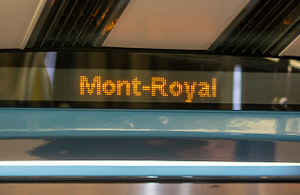 It was easy to make friends here. I was photographing in Lahaie Park and met a local writer. We talked for several hours, and then he offered to show me his favorite parts of the city. The most memorable place we visited was the top of Mont Royal.