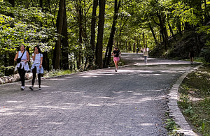 A series of twisty trails leads to a belvedere near the top of Mont Royal. At 600-feet (183 meters) above the city, the trek up was a good workout:)