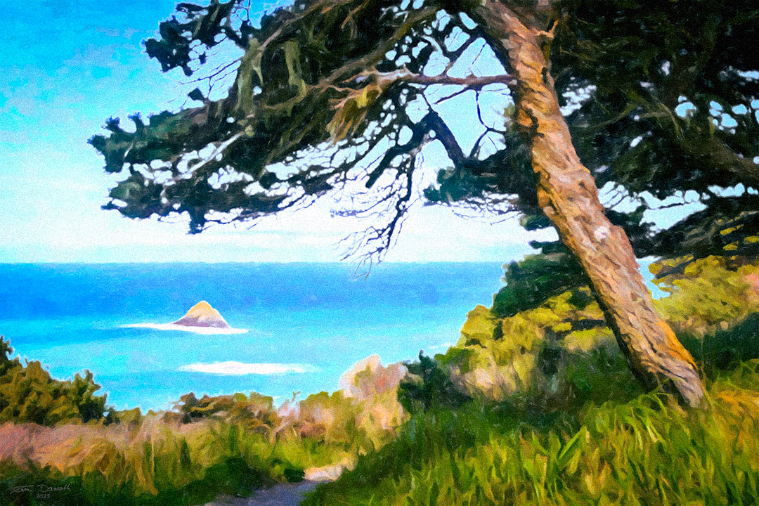 Port Orford Trail, Oregon 2025